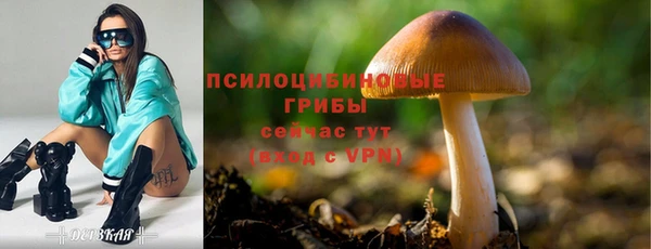 марки lsd Алзамай
