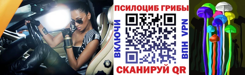 Псилоцибиновые грибы мухоморы  наркота  Куса 