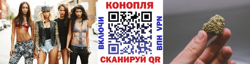 Марихуана OG Kush  Куса 